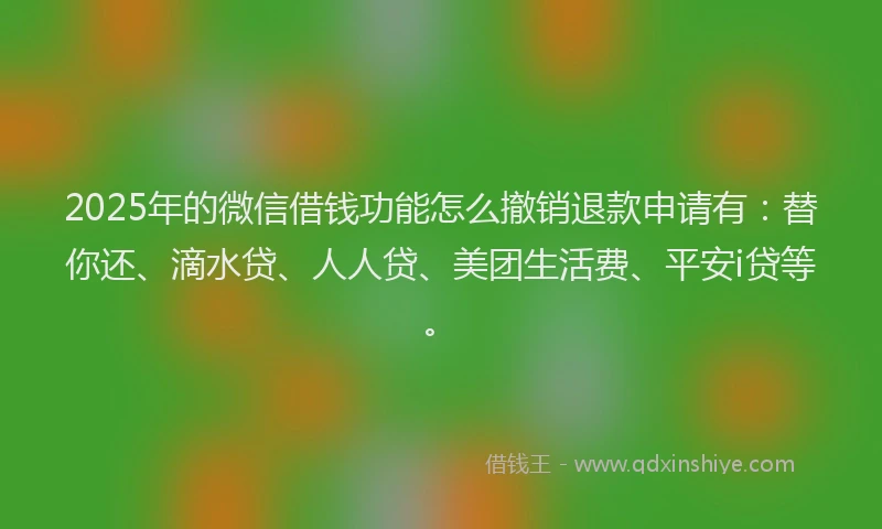 2025年的微信借钱功能怎么撤销退款申请有：替你还、滴水贷、人人贷、美团生活费、平安i贷等。