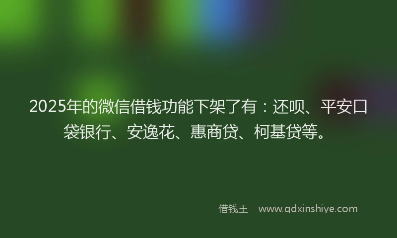 2025年的微信借钱功能下架了有：还呗、平安口袋银行、安逸花、惠商贷、柯基贷等。