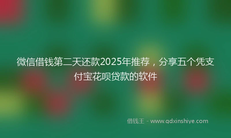 微信借钱第二天还款2025年推荐，分享五个凭支付宝花呗贷款的软件