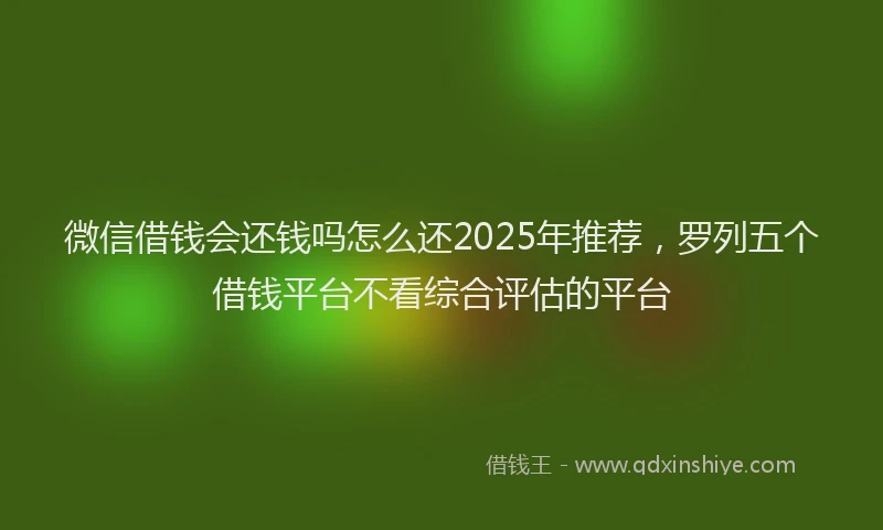 微信借钱会还钱吗怎么还2025年推荐，罗列五个借钱平台不看综合评估的平台