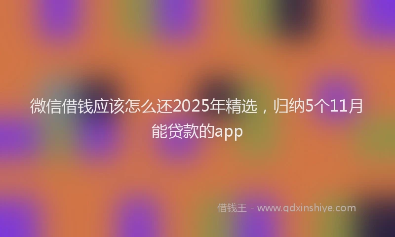 微信借钱应该怎么还2025年精选，归纳5个11月能贷款的app