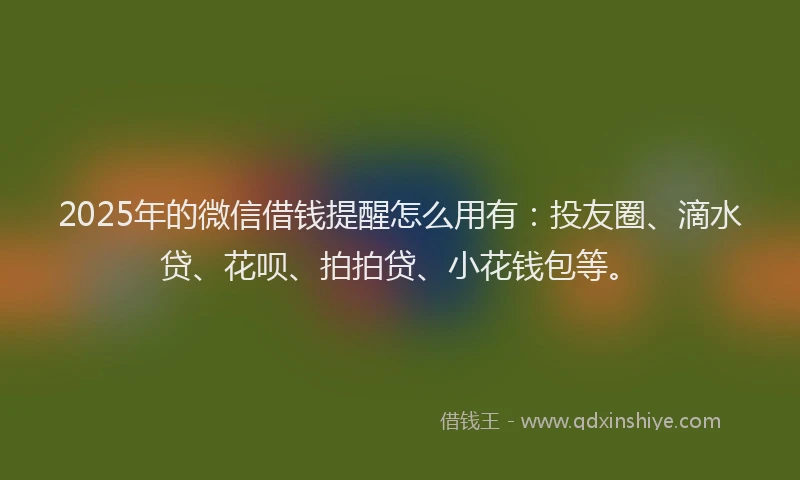 2025年的微信借钱提醒怎么用有：投友圈、滴水贷、花呗、拍拍贷、小花钱包等。