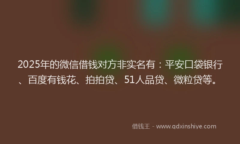 2025年的微信借钱对方非实名有：平安口袋银行、百度有钱花、拍拍贷、51人品贷、微粒贷等。