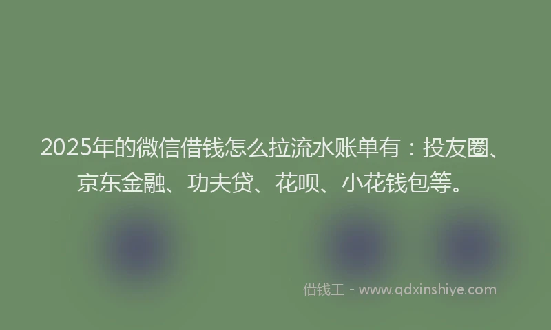 2025年的微信借钱怎么拉流水账单有：投友圈、京东金融、功夫贷、花呗、小花钱包等。