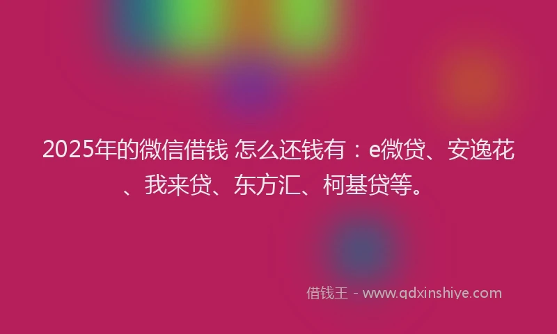 2025年的微信借钱 怎么还钱有：e微贷、安逸花、我来贷、东方汇、柯基贷等。