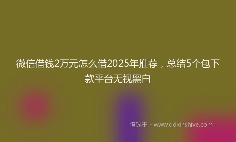 微信借钱2万元怎么借2025年推荐，总结5个包下款平台无视黑白
