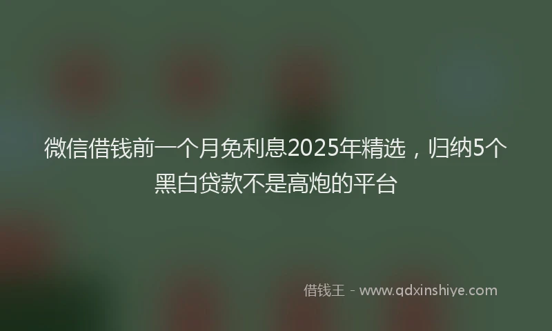 微信借钱前一个月免利息2025年精选，归纳5个黑白贷款不是高炮的平台