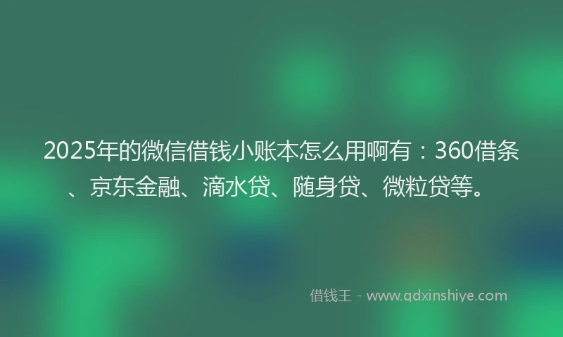 2025年的微信借钱小账本怎么用啊有：360借条、京东金融、滴水贷、随身贷、微粒贷等。