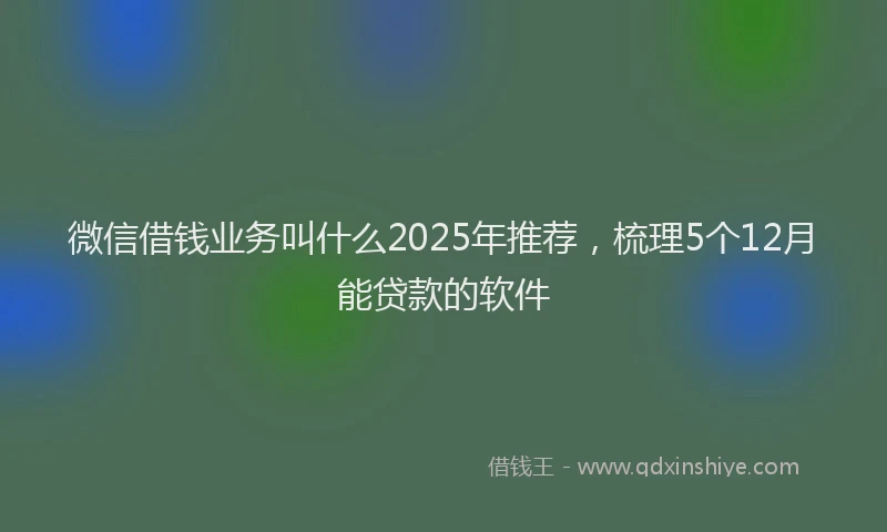 微信借钱业务叫什么2025年推荐，梳理5个12月能贷款的软件