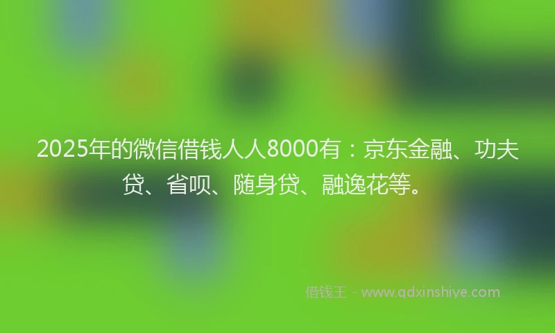 2025年的微信借钱人人8000有：京东金融、功夫贷、省呗、随身贷、融逸花等。