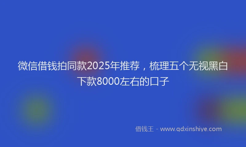 微信借钱拍同款2025年推荐，梳理五个无视黑白下款8000左右的口子