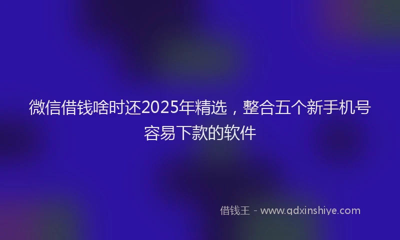 微信借钱啥时还2025年精选，整合五个新手机号容易下款的软件