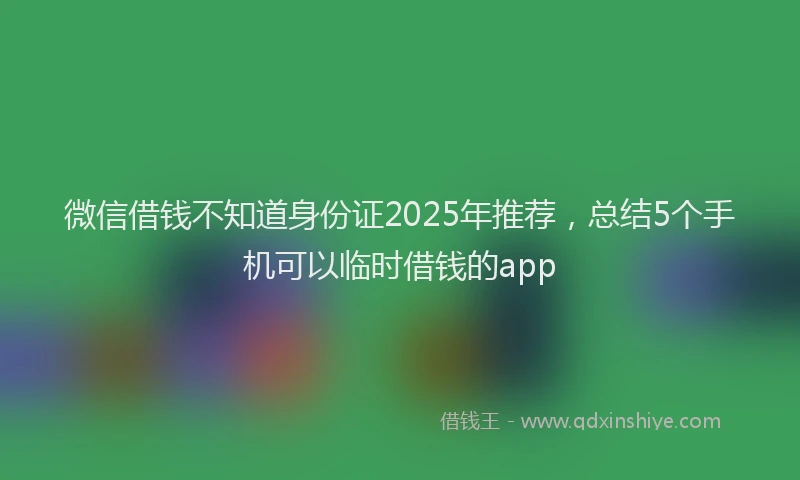 微信借钱不知道身份证2025年推荐，总结5个手机可以临时借钱的app