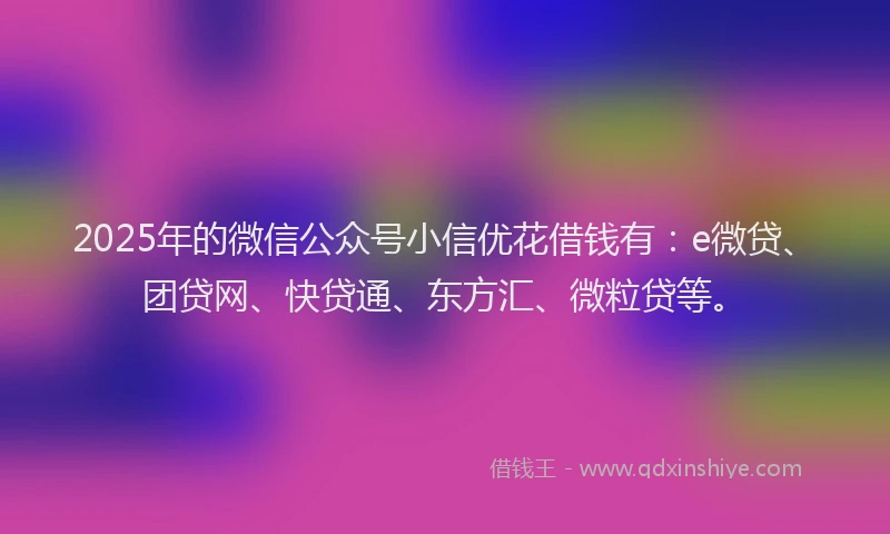 2025年的微信公众号小信优花借钱有：e微贷、团贷网、快贷通、东方汇、微粒贷等。