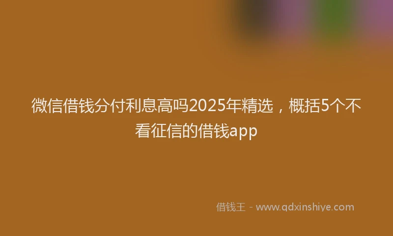 微信借钱分付利息高吗2025年精选，概括5个不看征信的借钱app