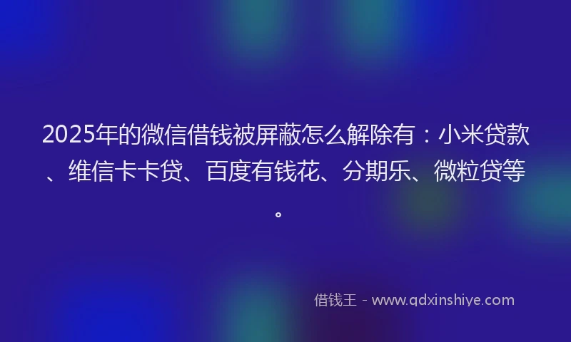 2025年的微信借钱被屏蔽怎么解除有：小米贷款、维信卡卡贷、百度有钱花、分期乐、微粒贷等。