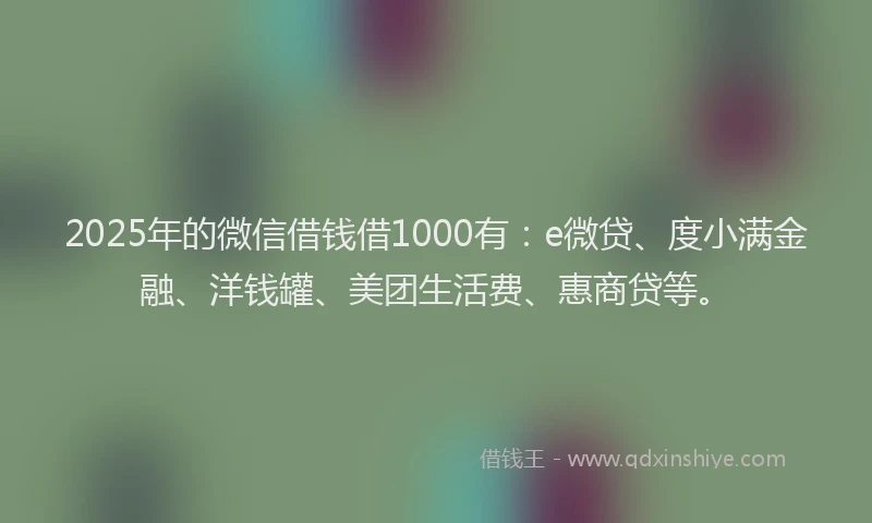 2025年的微信借钱借1000有：e微贷、度小满金融、洋钱罐、美团生活费、惠商贷等。