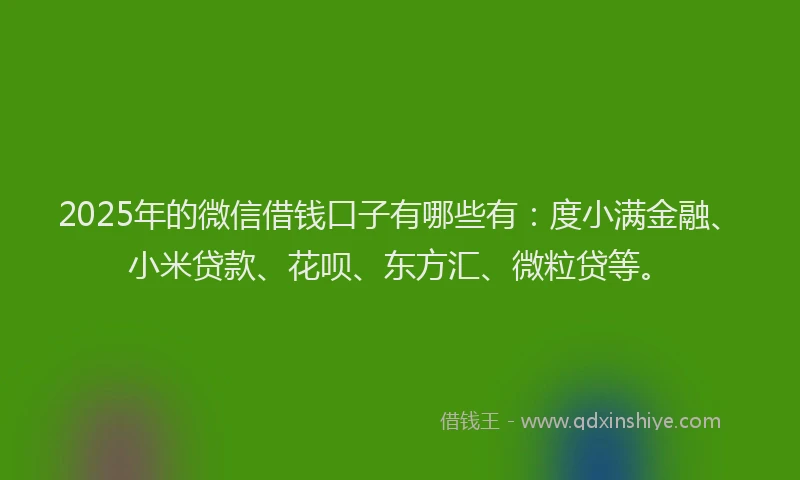 2025年的微信借钱口子有哪些有：度小满金融、小米贷款、花呗、东方汇、微粒贷等。