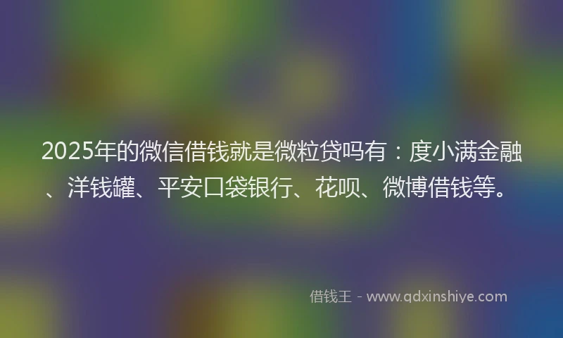 2025年的微信借钱就是微粒贷吗有：度小满金融、洋钱罐、平安口袋银行、花呗、微博借钱等。