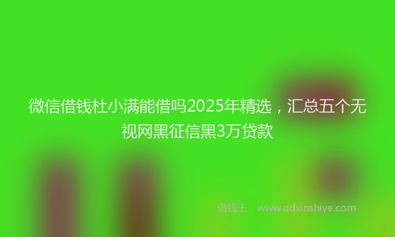 微信借钱杜小满能借吗2025年精选，汇总五个无视网黑征信黑3万贷款