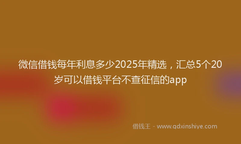 微信借钱每年利息多少2025年精选，汇总5个20岁可以借钱平台不查征信的app