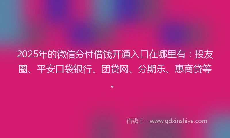 2025年的微信分付借钱开通入口在哪里有：投友圈、平安口袋银行、团贷网、分期乐、惠商贷等。