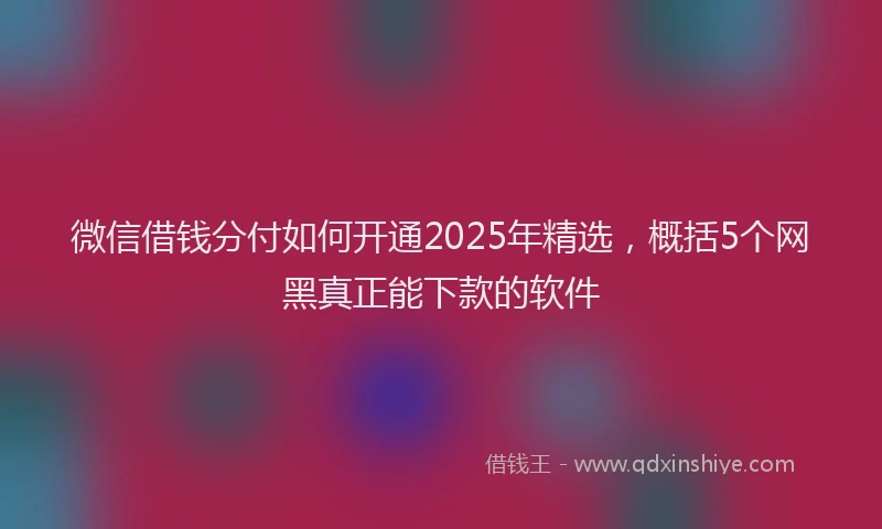 微信借钱分付如何开通2025年精选，概括5个网黑真正能下款的软件