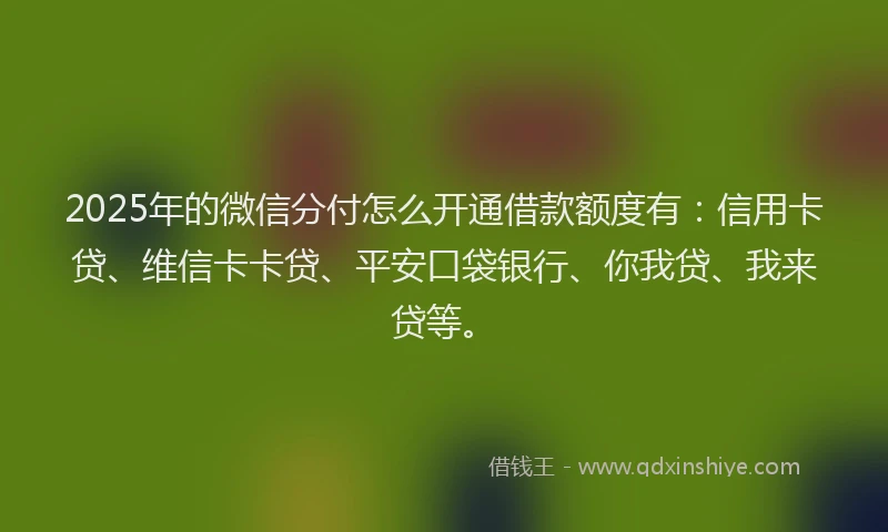 2025年的微信分付怎么开通借款额度有：信用卡贷、维信卡卡贷、平安口袋银行、你我贷、我来贷等。