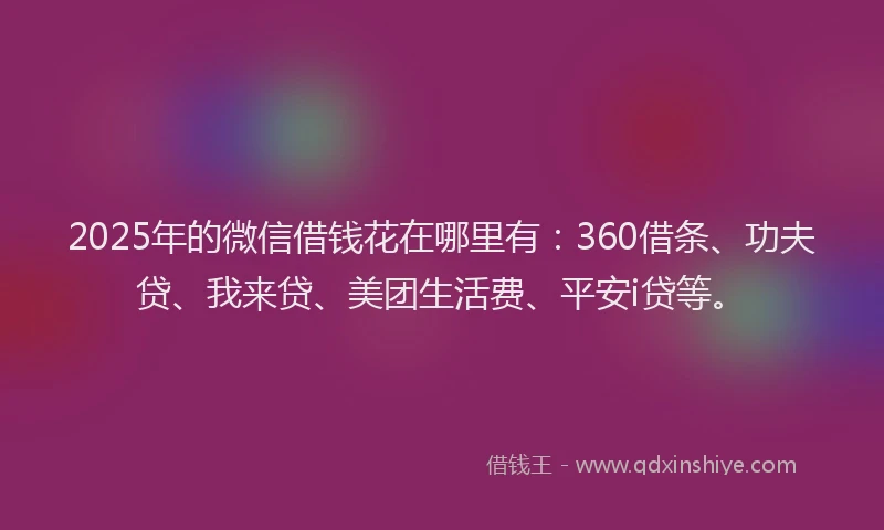 2025年的微信借钱花在哪里有：360借条、功夫贷、我来贷、美团生活费、平安i贷等。