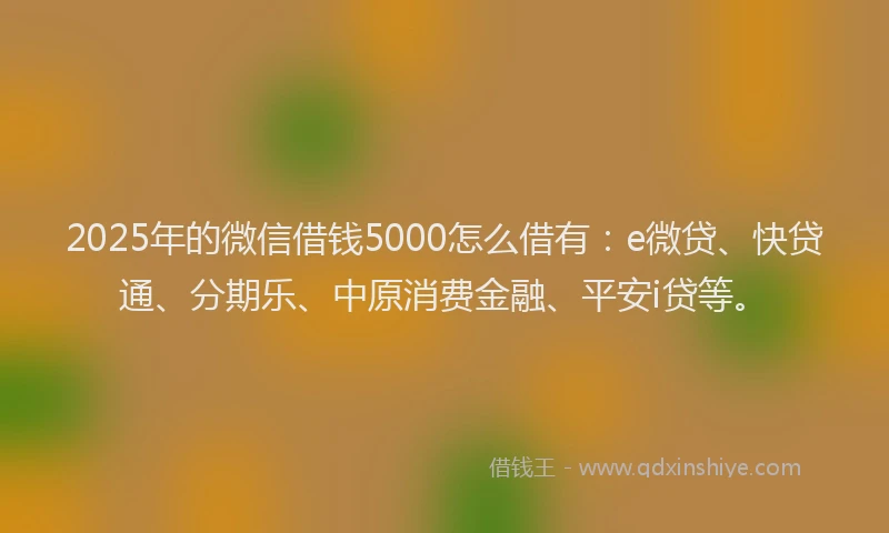 2025年的微信借钱5000怎么借有：e微贷、快贷通、分期乐、中原消费金融、平安i贷等。