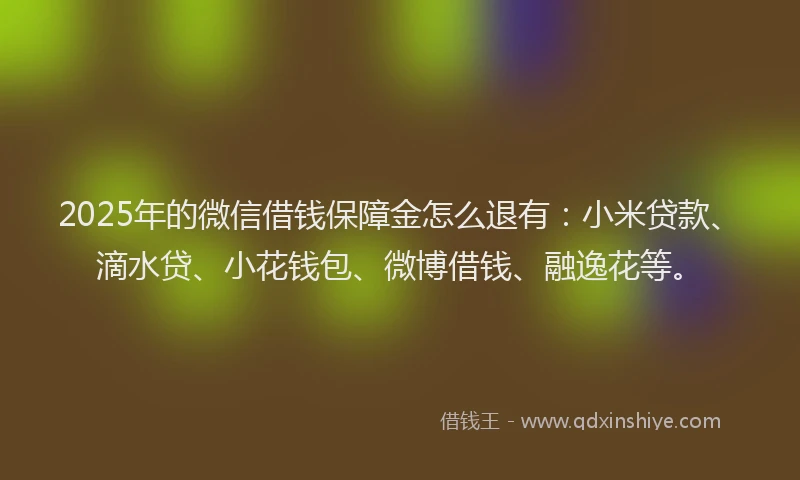 2025年的微信借钱保障金怎么退有：小米贷款、滴水贷、小花钱包、微博借钱、融逸花等。
