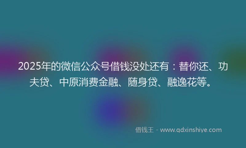 2025年的微信公众号借钱没处还有：替你还、功夫贷、中原消费金融、随身贷、融逸花等。