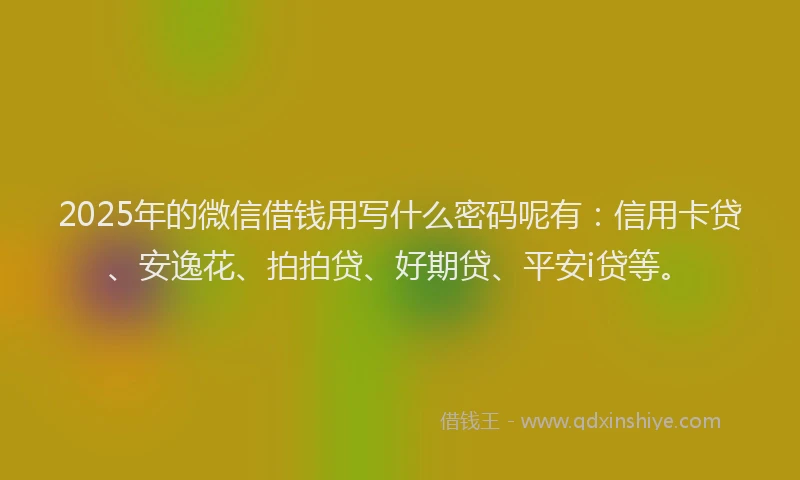 2025年的微信借钱用写什么密码呢有：信用卡贷、安逸花、拍拍贷、好期贷、平安i贷等。
