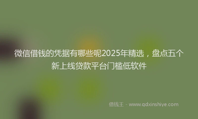 微信借钱的凭据有哪些呢2025年精选，盘点五个新上线贷款平台门槛低软件