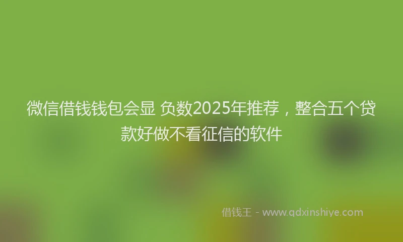微信借钱钱包会显 负数2025年推荐，整合五个贷款好做不看征信的软件