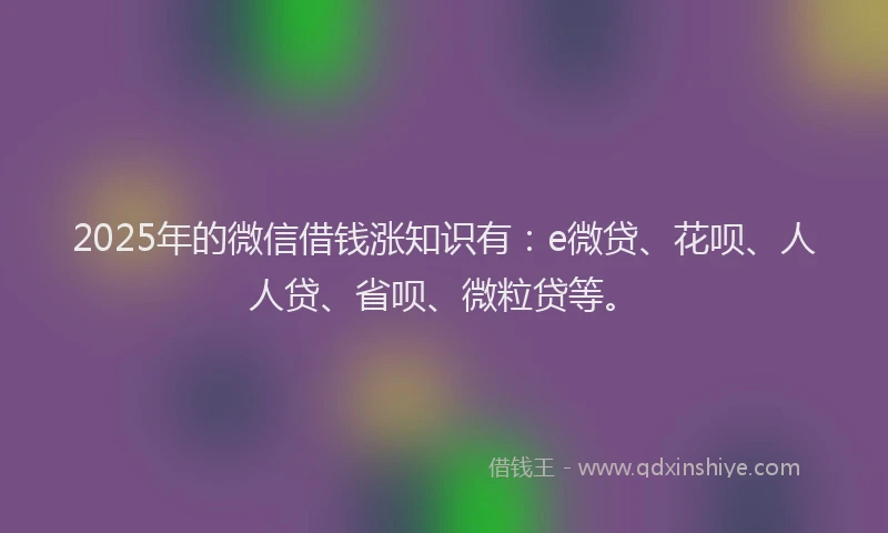 2025年的微信借钱涨知识有：e微贷、花呗、人人贷、省呗、微粒贷等。