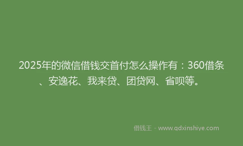 2025年的微信借钱交首付怎么操作有：360借条、安逸花、我来贷、团贷网、省呗等。