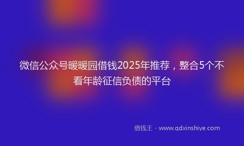 微信公众号暖暖园借钱2025年推荐，整合5个不看年龄征信负债的平台
