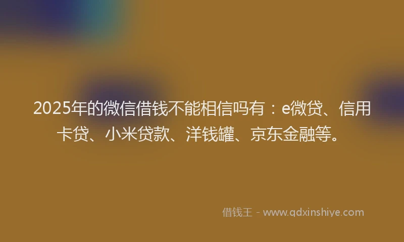 2025年的微信借钱不能相信吗有：e微贷、信用卡贷、小米贷款、洋钱罐、京东金融等。