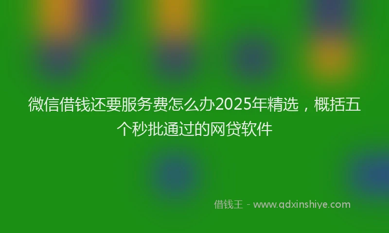 微信借钱还要服务费怎么办2025年精选，概括五个秒批通过的网贷软件