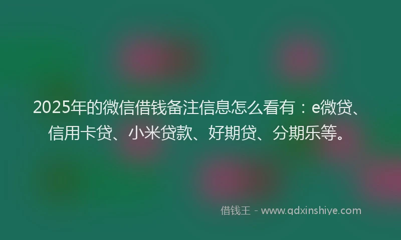 2025年的微信借钱备注信息怎么看有：e微贷、信用卡贷、小米贷款、好期贷、分期乐等。