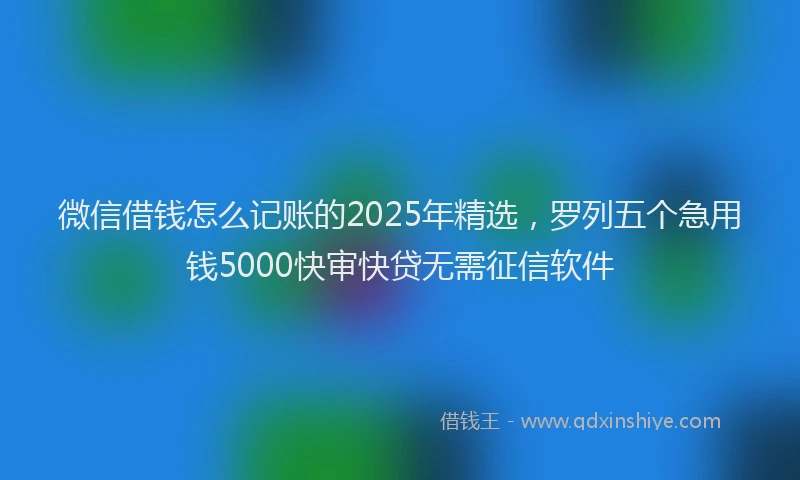 微信借钱怎么记账的2025年精选，罗列五个急用钱5000快审快贷无需征信软件