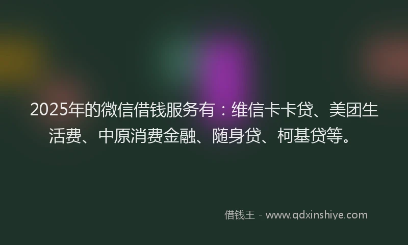 2025年的微信借钱服务有：维信卡卡贷、美团生活费、中原消费金融、随身贷、柯基贷等。