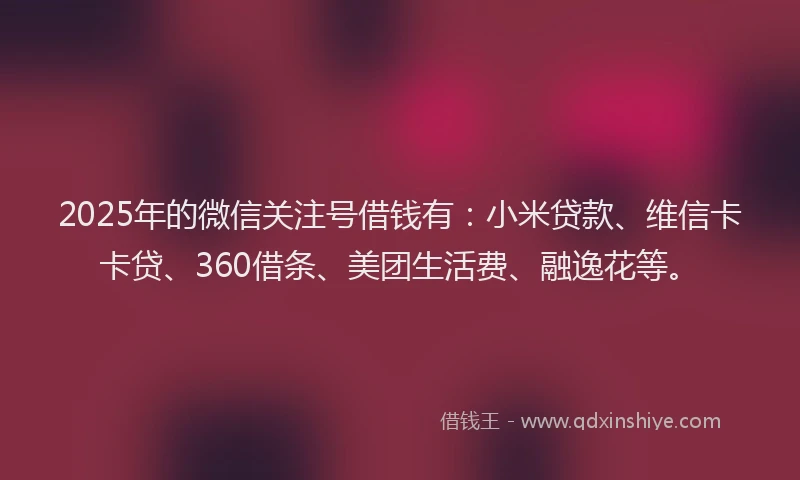 2025年的微信关注号借钱有：小米贷款、维信卡卡贷、360借条、美团生活费、融逸花等。