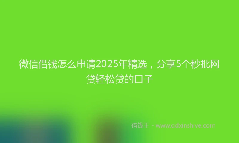 微信借钱怎么申请2025年精选，分享5个秒批网贷轻松贷的口子