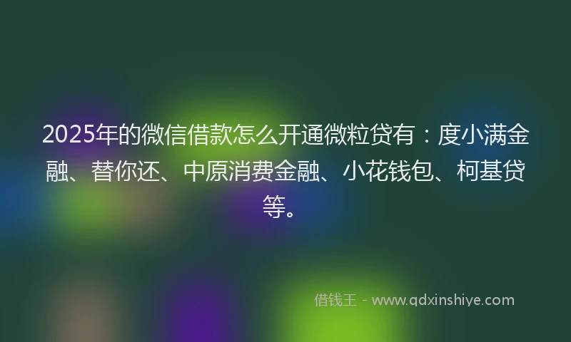 2025年的微信借款怎么开通微粒贷有：度小满金融、替你还、中原消费金融、小花钱包、柯基贷等。