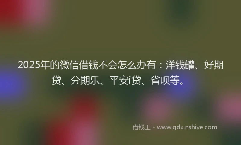 2025年的微信借钱不会怎么办有：洋钱罐、好期贷、分期乐、平安i贷、省呗等。