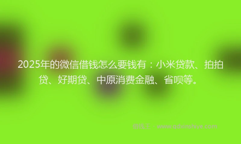2025年的微信借钱怎么要钱有：小米贷款、拍拍贷、好期贷、中原消费金融、省呗等。