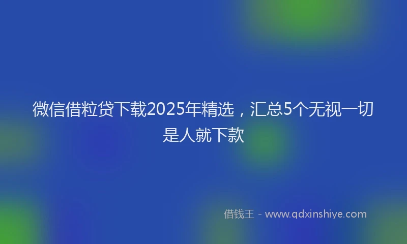 微信借粒贷下载2025年精选，汇总5个无视一切是人就下款