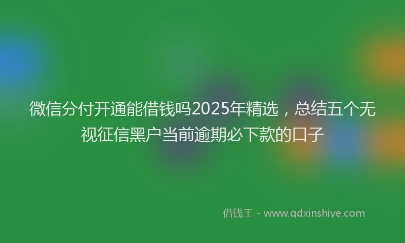 微信分付开通能借钱吗2025年精选，总结五个无视征信黑户当前逾期必下款的口子